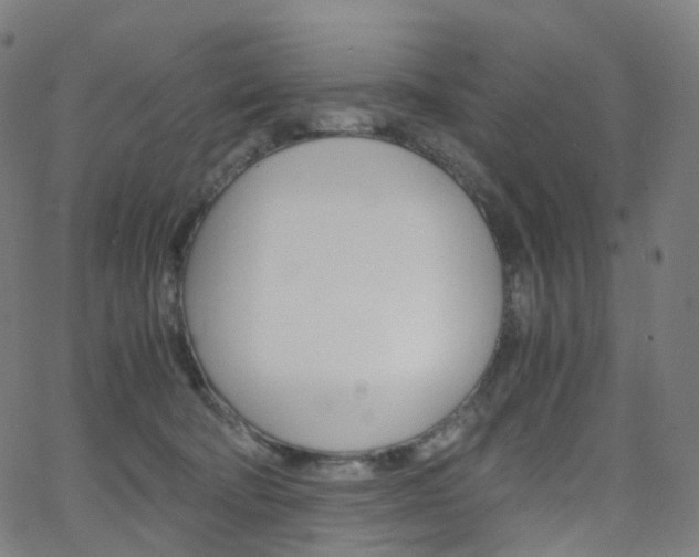 X0000063500322200601201033