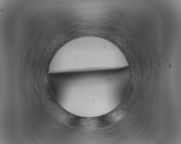 X0000063500331200601201032