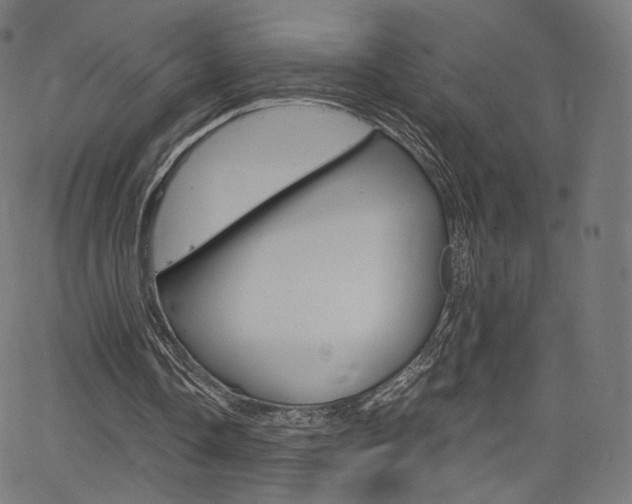 X0000063500338200601201032