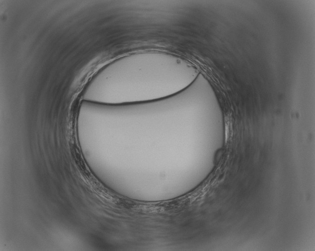 X0000063500339200601201032