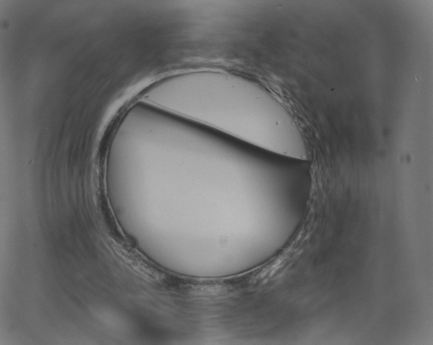 X0000063500342200601201032