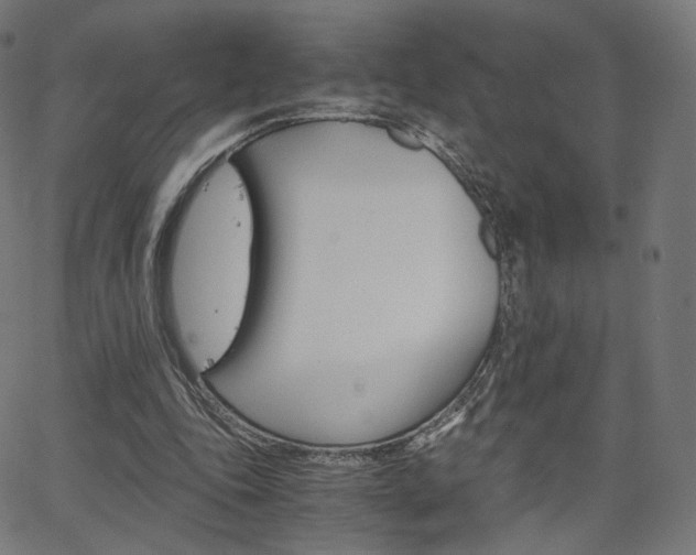 X0000063500343200601201032