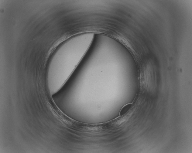 X0000063500349200601201032