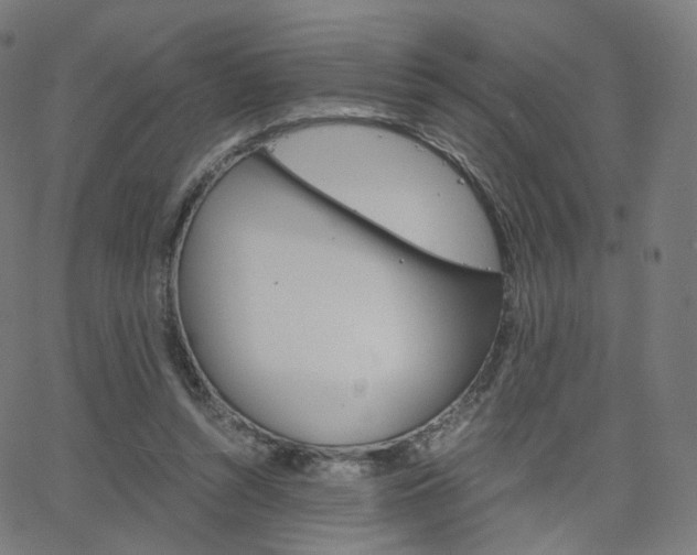 X0000063500352200601201032