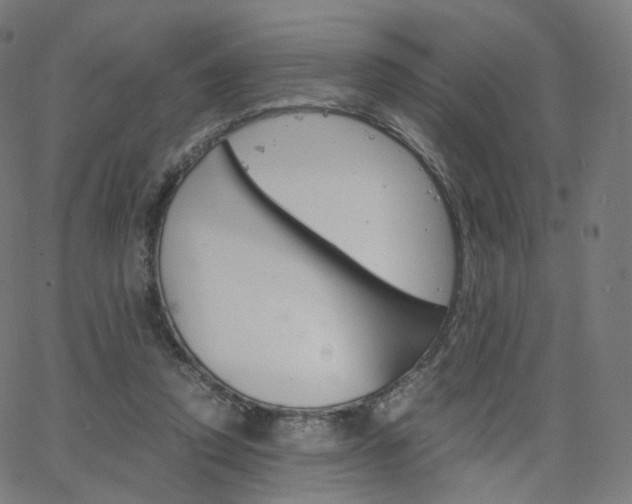X0000063500354200601201032