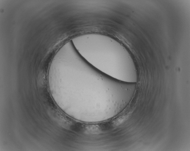 X0000063500355200601201032