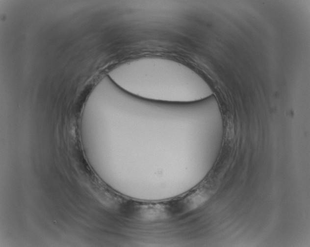 X0000063500363200601201032