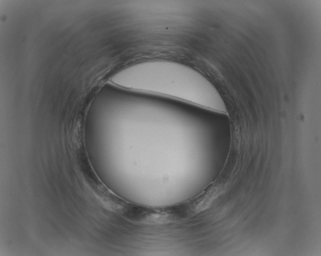 X0000063500364200601201032