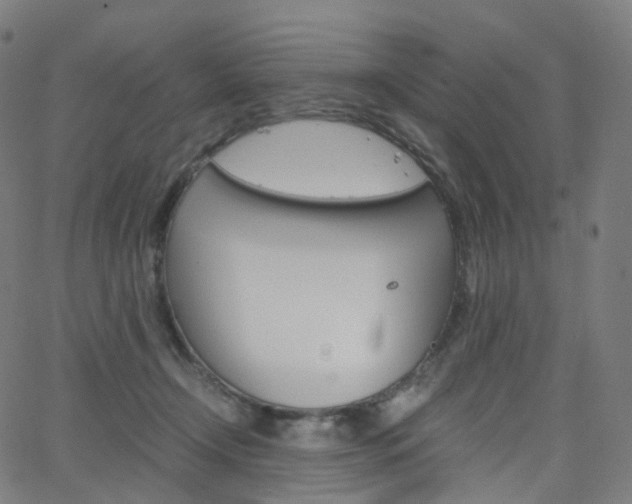 X0000063500366200601201032