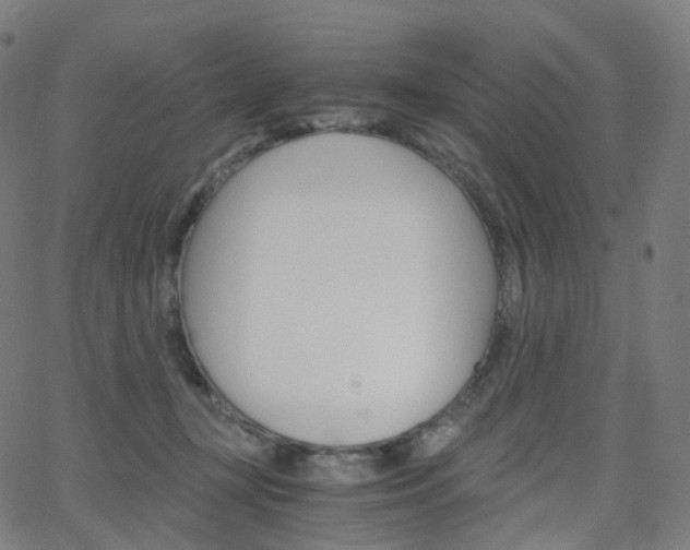 X0000063500367200601201032