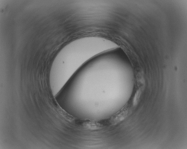 X0000063500372200601201032