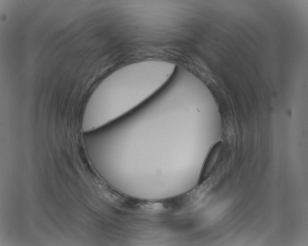 X0000063500374200601201032