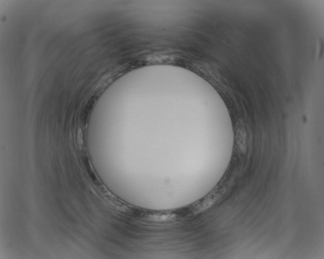 X0000063500375200601201032