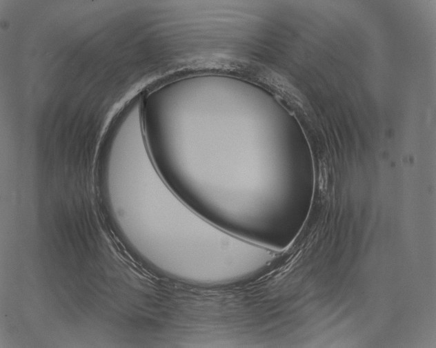 X0000063500388200601201031