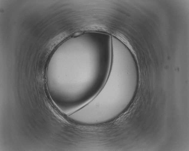 X0000063500389200601201031