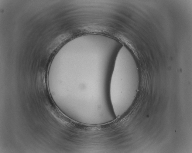 X0000063500398200601201031