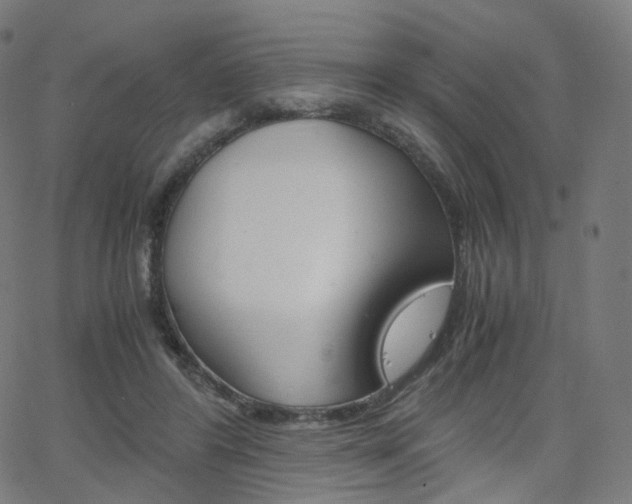 X0000063500404200601201031
