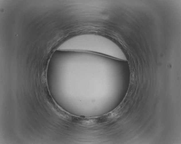 X0000063500411200601201031