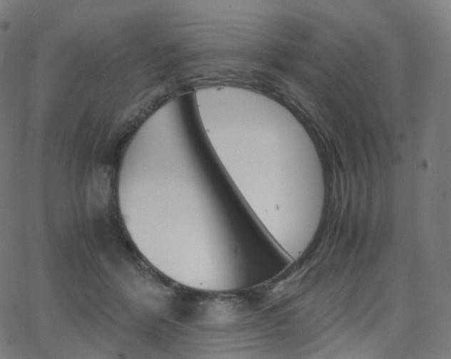 X0000063500412200601201031
