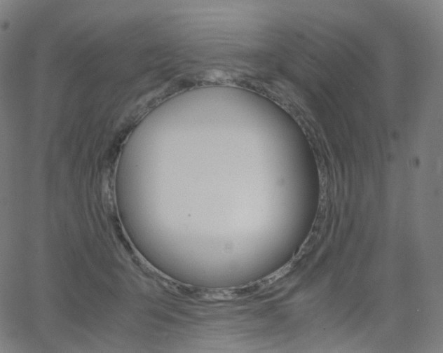 X0000063500415200601201031