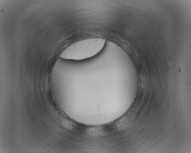 X0000063500422200601201031