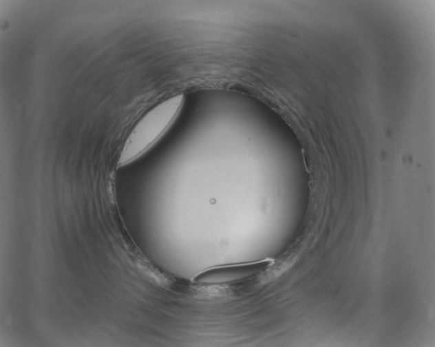 X0000063500432200601201031