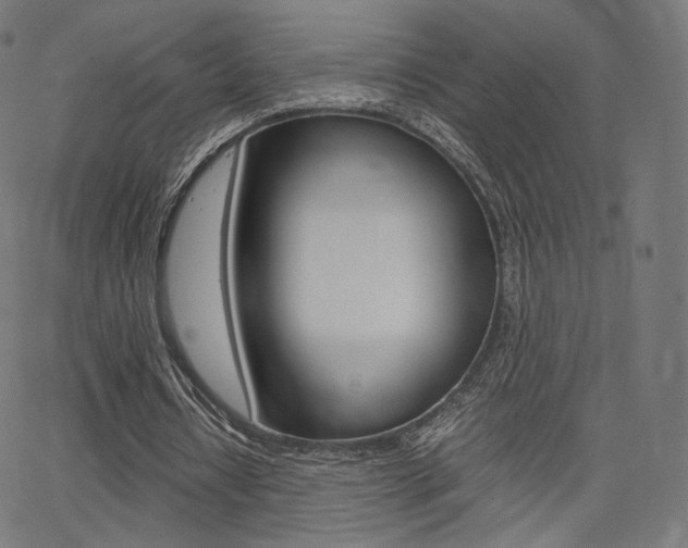 X0000063500434200601201030