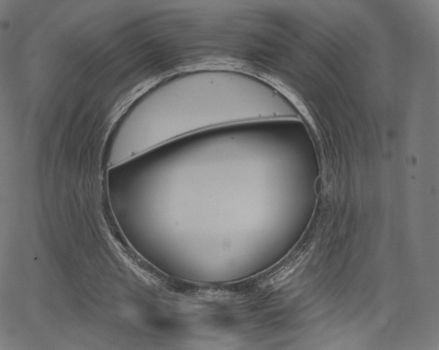 X0000063500437200601201030