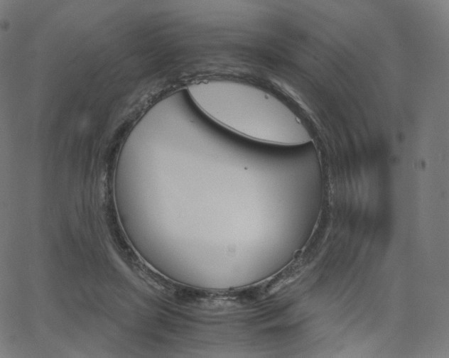 X0000063500451200601201030