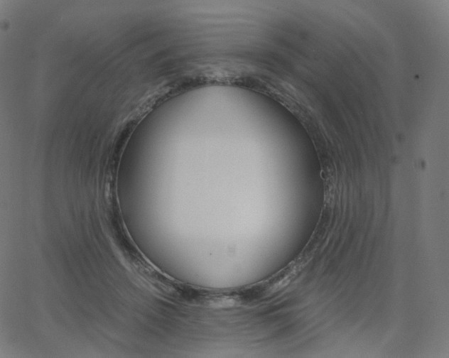 X0000063500456200601201030