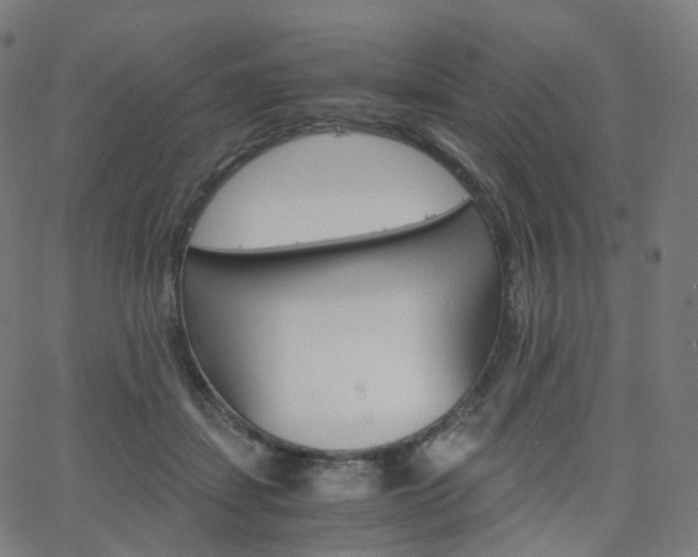 X0000063500459200601201030