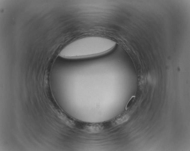 X0000063500466200601201030