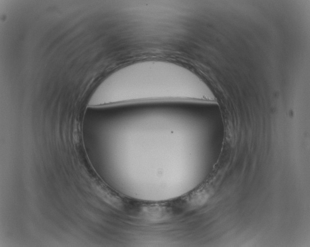 X0000063500470200601201031