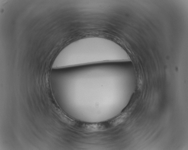 X0000063500473200601201031