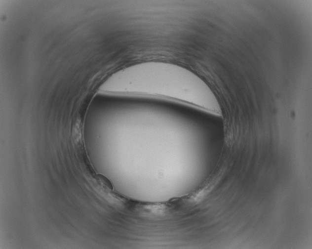 X0000063500478200601201031
