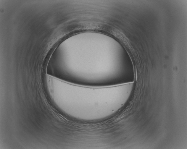 X0000063500483200601201030