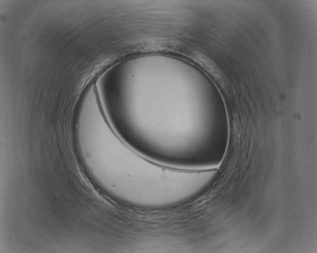 X0000063500485200601201030