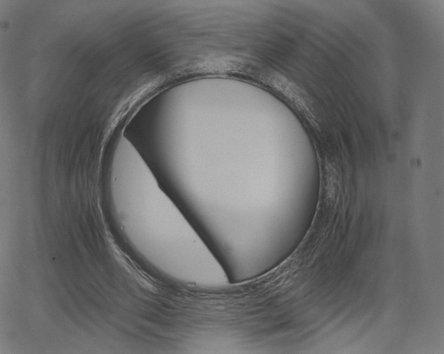 X0000063500486200601201030