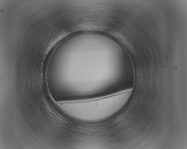 X0000063500488200601201030