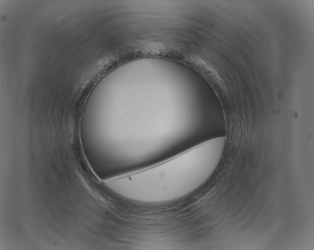 X0000063500496200601201030