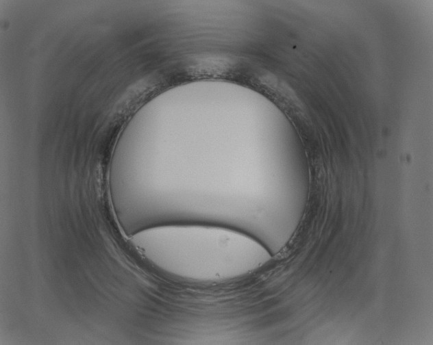 X0000063500498200601201030
