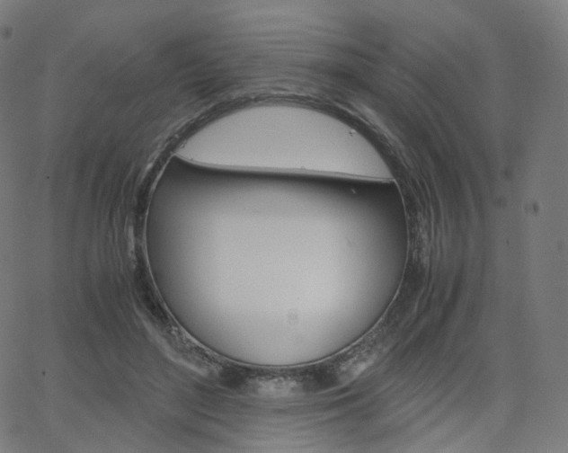 X0000063500500200601201030