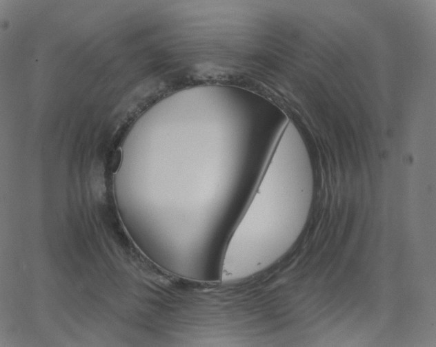 X0000063500508200601201029