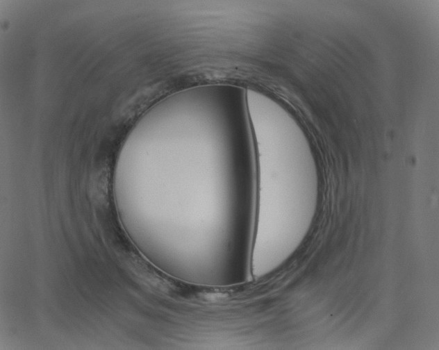 X0000063500509200601201029