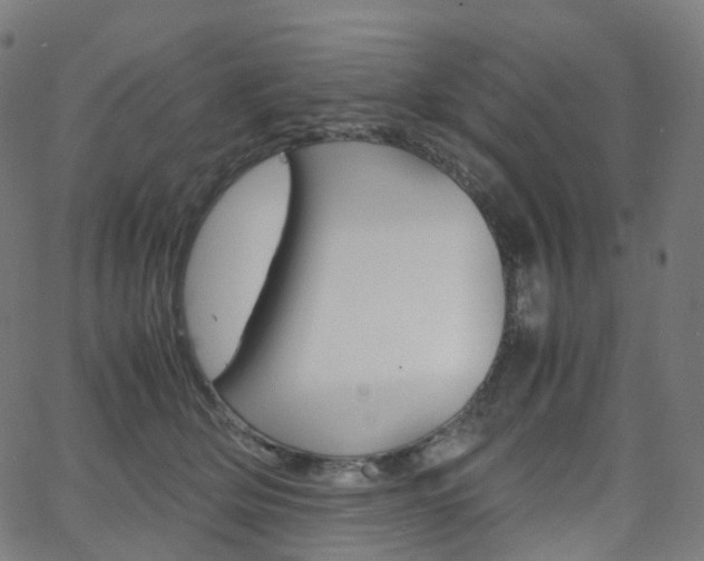 X0000063500514200601201029