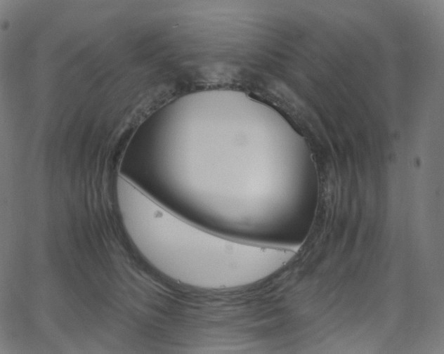 X0000063500516200601201029