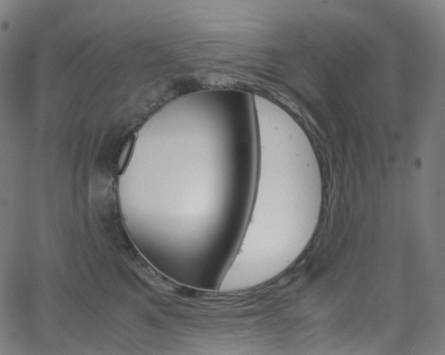 X0000063500521200601201029