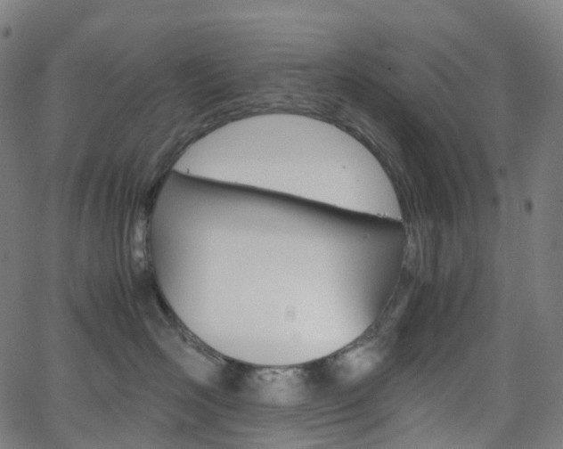 X0000063500526200601201029