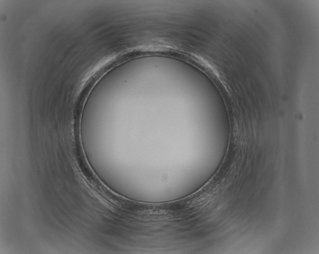 X0000063500535200601201028