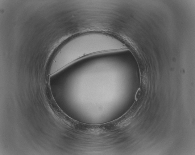 X0000063500540200601201029